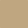 Benjamin Moore's paint color 1040 Spice Gold