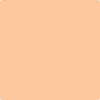 Benjamin Moore's paint color 137 Peach Pudding