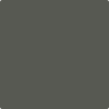 Benjamin Moore's paint color 1484 Ashwood Moss