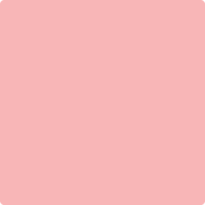 Light Pink American Made Brand Solid - 00142