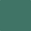 Benjamin Moore's paint color 643 Steamed Spinach